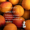 Thumbnail for Close-up of apricots with text about apricot as an active ingredient for hair care.