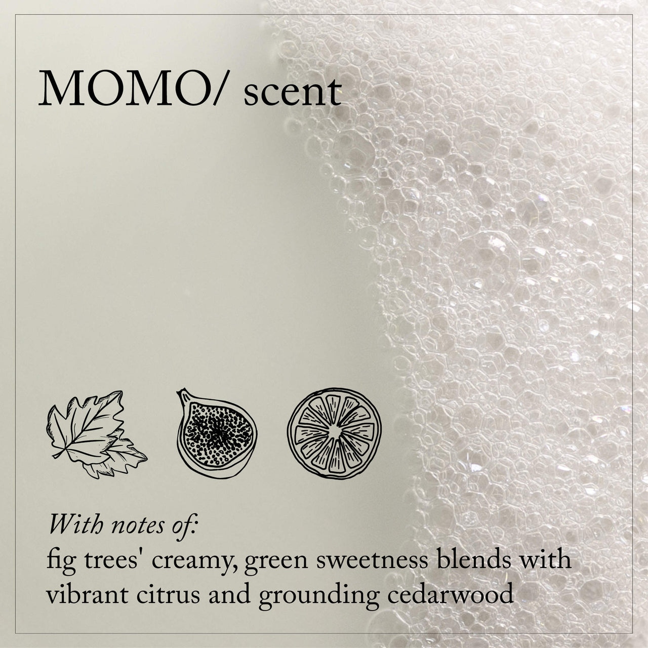 Product packaging with 'MOMO/' branding and sensory description of fig, citrus, and cedarwood.