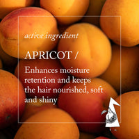 Thumbnail for Close-up of apricots with text about apricot as an active ingredient for hair care.