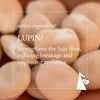 Thumbnail for Close-up of lupin seeds with text about its hair strengthening properties.