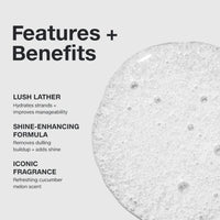 Thumbnail for features and benefits of Paul Mitchell awaphui Shampoo