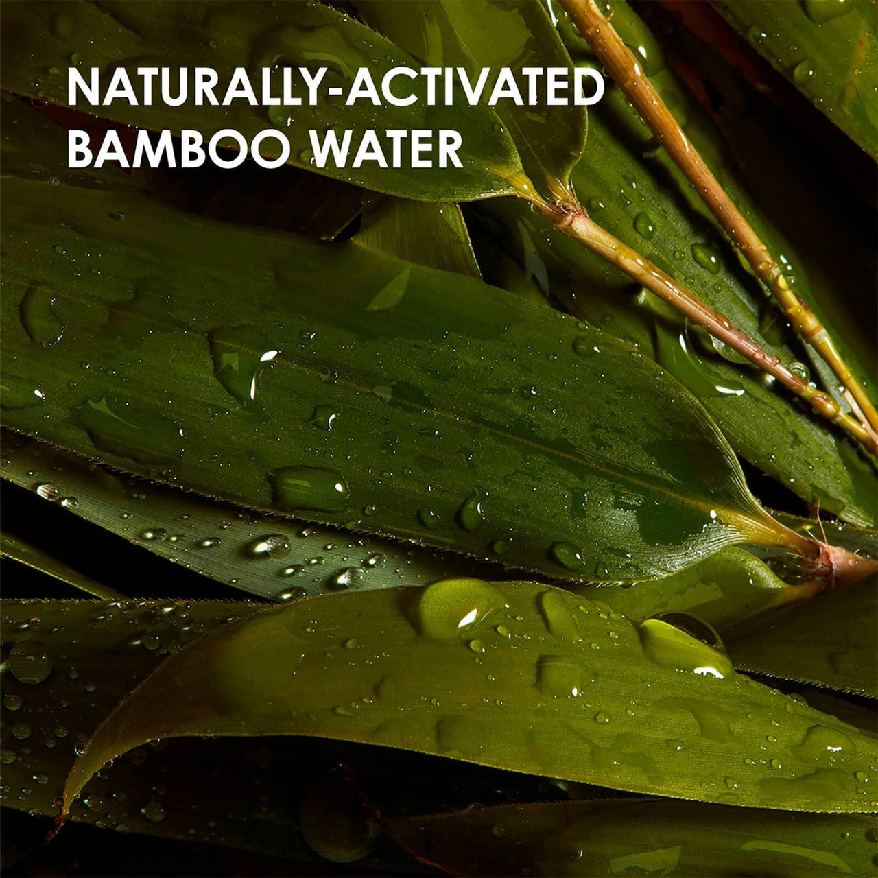 naturally-activated bamboo water